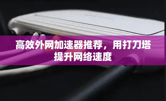 高效外网加速器推荐，用打刀塔提升网络速度