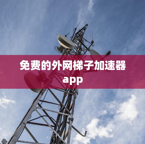 免费的外网梯子加速器app