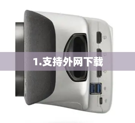 1.支持外网下载