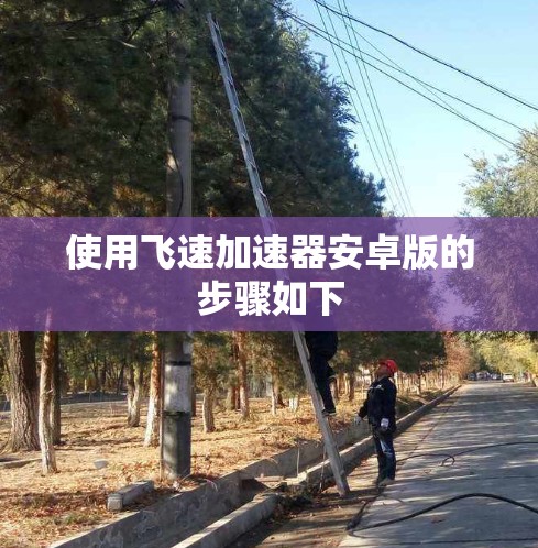 使用飞速加速器安卓版的步骤如下