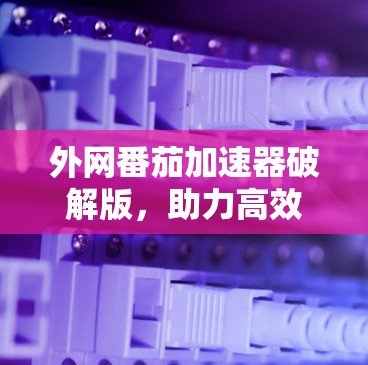 外网番茄加速器破解版，助力高效数据传输与网络速度提升！