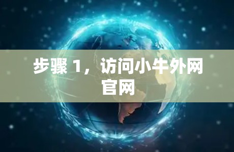 步骤 1，访问小牛外网官网