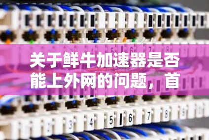关于鲜牛加速器是否能上外网的问题，首先需要明确鲜牛加速器具体指的是什么。通常，可能是指某种加速工具或软件，但上外网可能有特定的含义