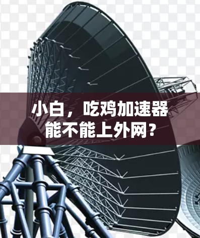 小白，吃鸡加速器能不能上外网？