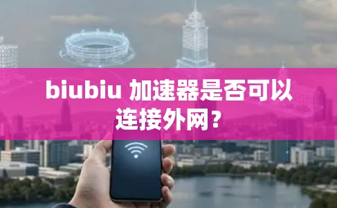 biubiu 加速器是否可以连接外网？