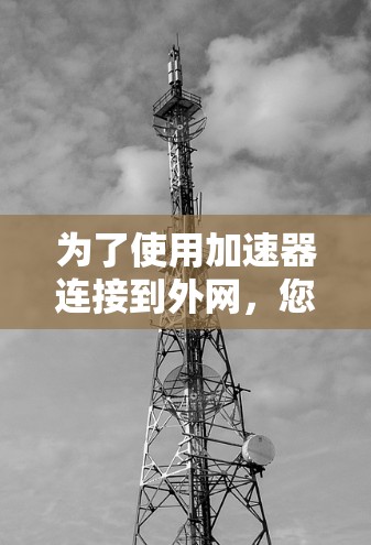 为了使用加速器连接到外网,您可以按照以下步骤进行