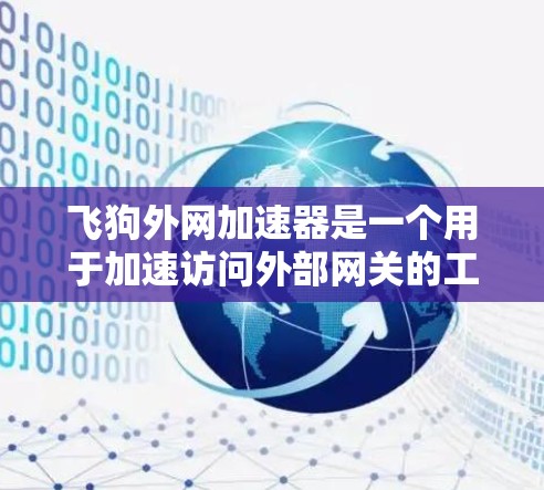 飞狗外网加速器是一个用于加速访问外部网关的工具,使用方法如下