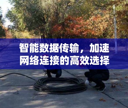 智能数据传输，加速网络连接的高效选择—加速器上外网免费版