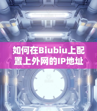 如何在Biubiu上配置上外网的IP地址