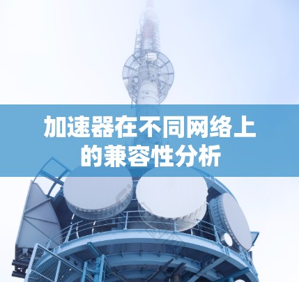 加速器在不同网络上的兼容性分析