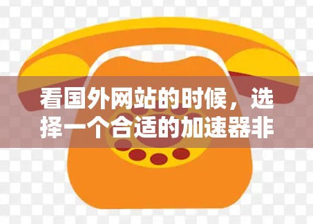 看国外网站的时候,选择一个合适的加速器非常重要,因为它能帮助你更高效地浏览、下载和保存网页内容。以下是一些推荐的加速器,供你选择