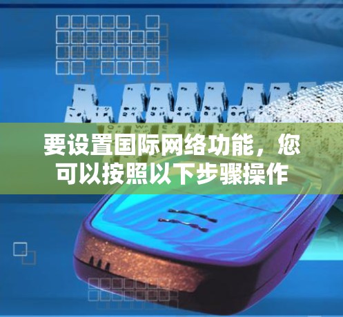 要设置国际网络功能，您可以按照以下步骤操作