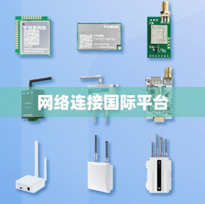 网络连接国际平台 网络连接国际平台