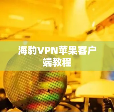 海豹VPN苹果客户端教程