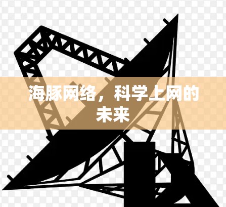 海豚网络，<strong>科学上网</strong>的未来
