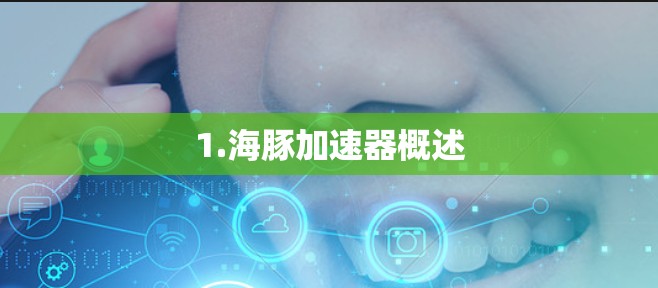 1.海豚加速器概述