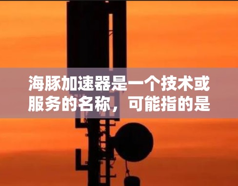 海豚加速器是一个技术或服务的名称，可能指的是某种基于海豚（可能是某个平台或平台名称）的加速器或工具。由于海豚没有明确的上下文，这里需要做一些合理的假设来解释其含义
