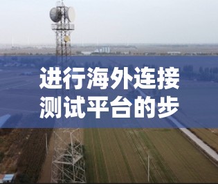 进行海外连接测试平台的步骤如下