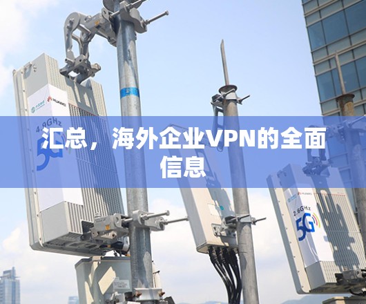 汇总,海外企业VPN的全面信息