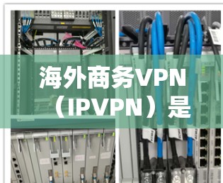 海外商务VPN（IPVPN）是指用于商务交流和数据保护的网络VPN服务。这些服务通常提供加密传输、数据保护和安全功能，以帮助商务人士在海外安全访问网络资源和服务，同时保护个人数据不被泄露