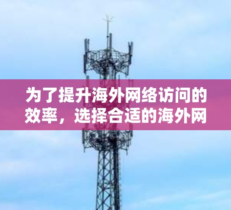 为了提升海外网络访问的效率,选择合适的海外网络访问加速软件至关重要。以下是一些推荐的软件,结合你的需求和预算,帮助你找到最适合的解决方案