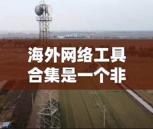 海外网络工具合集是一个非常实用的资源，涵盖了从社交媒体到文件管理、实时通讯、数据分析等多种功能。以下是一些常见的海外网络工具合集，供你参考