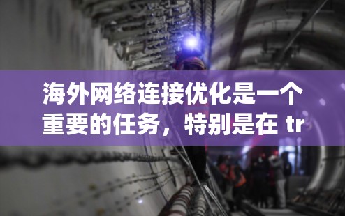 海外网络连接优化是一个重要的任务，特别是在 traveling abroad 期间需要确保你的设备能够稳定连接到目标地区的网络环境。以下是一些优化方案，帮助你更好地管理和维护你的网络连接