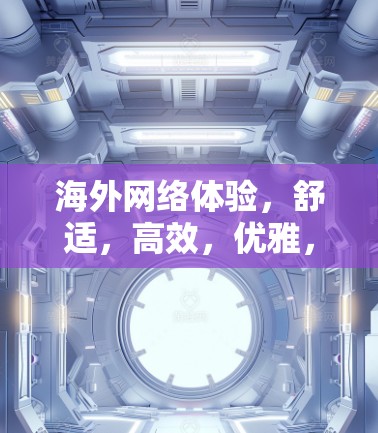 海外网络体验,舒适,高效,优雅,便捷