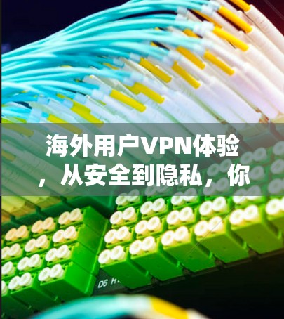 海外用户VPN体验,从安全到隐私,你的选择在哪里?