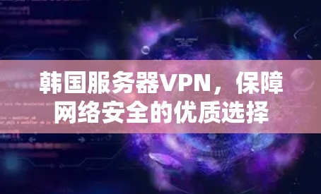 韩国服务器VPN,保障网络安全的优质选择 韩国服务器VPN,保障网络安全的优质选择