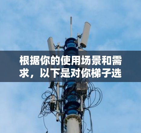 根据你的使用场景和需求,以下是对你梯子选择的建议 根据你的使用场景和需求,以下是对你梯子选择的建议