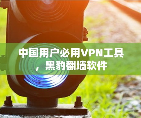 中国用户必用VPN工具,黑豹<strong>翻墙</strong>软件