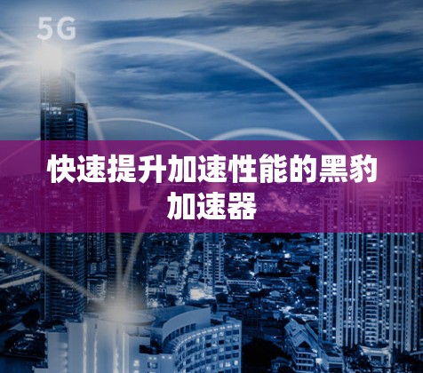 快速提升加速性能的黑豹加速器 快速提升加速性能的黑豹加速器