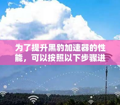 为了提升黑豹加速器的性能，可以按照以下步骤进行优化