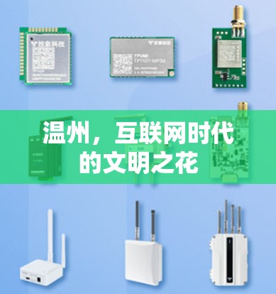 温州，互联网时代的文明之花