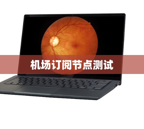 机场订阅节点测试