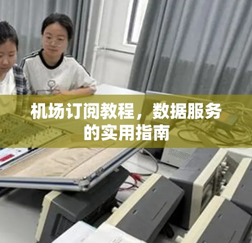 机场订阅教程，数据服务的实用指南