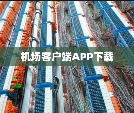 机场客户端APP下载 机场客户端APP下载