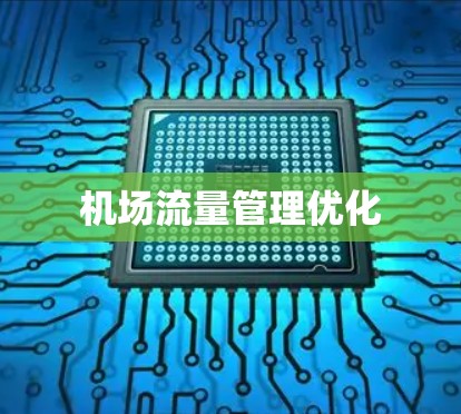 机场流量管理优化
