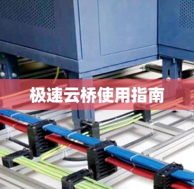 极速云桥使用指南