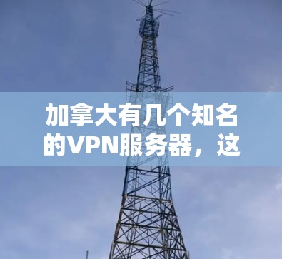 加拿大有几个知名的VPN服务器,这些服务器常被用来进行娱乐、视频分享、或者远程访问。以下是几个常见的加拿大VPN服务器及其特点