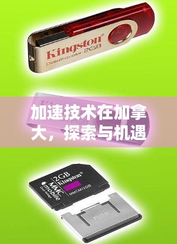 加速技术在加拿大,探索与机遇