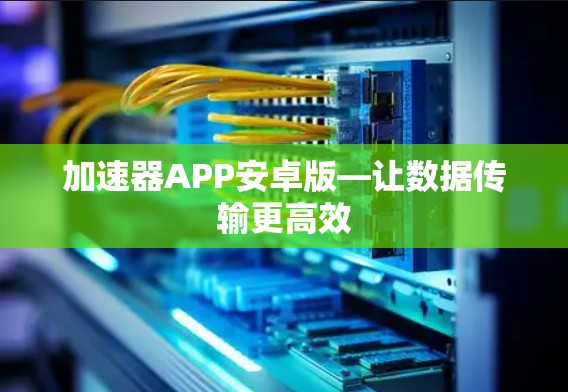 加速器APP安卓版—让数据传输更高效