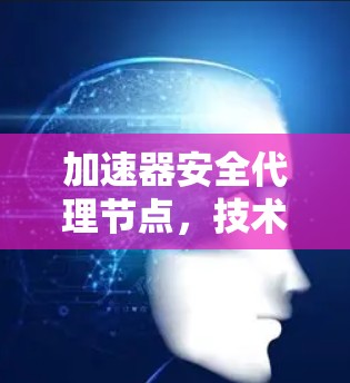 加速器安全代理节点，技术解析与应用展望