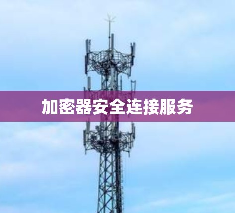 加密器安全连接服务 加密器安全连接服务