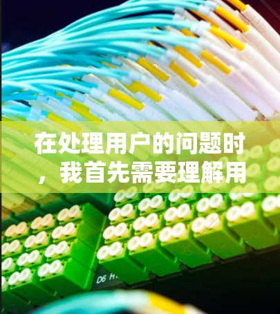 在处理用户的问题时，我首先需要理解用户提供的信息。用户询问的是加速器安卓高速节点，并提供了详细的信息，包括加速器的类型、优化方向、驱动版本以及性能表现