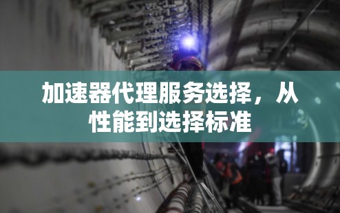 加速器代理服务选择,从性能到选择标准