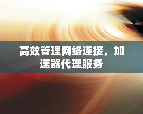 高效管理网络连接，加速器代理服务
