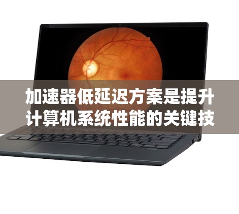 加速器低延迟方案是提升计算机系统性能的关键技术,特别是在需要高并发和高功耗的应用中。以下是对该概念的详细分析和总结