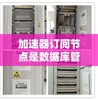 加速器订阅节点是数据库管理中的一个关键组件,用于连接加速器客户端到数据库节点。以下是对加速器订阅节点的详细说明